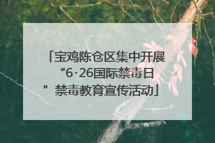 宝鸡陈仓区集中开展“6･26国际禁毒日”禁毒教育宣传活动