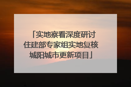 实地察看深度研讨 住建部专家组实地复核城阳城市更新项目