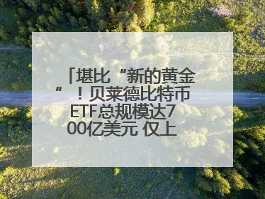 堪比“新的黄金”！贝莱德比特币ETF总规模达700亿美元 仅上市一年多