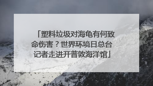 塑料垃圾对海龟有何致命伤害？世界环境日总台记者走进开普敦海洋馆