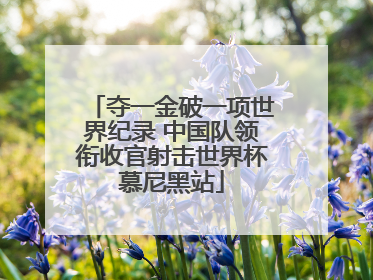 夺一金破一项世界纪录 中国队领衔收官射击世界杯慕尼黑站