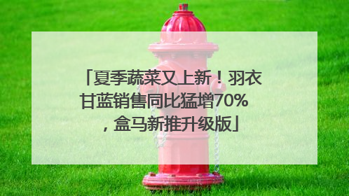 夏季蔬菜又上新！羽衣甘蓝销售同比猛增70%，盒马新推升级版