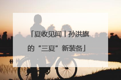 夏收见闻丨孙洪旗的“三夏”新装备