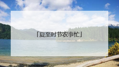 夏至时节农事忙