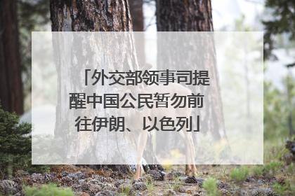 外交部领事司提醒中国公民暂勿前往伊朗、以色列