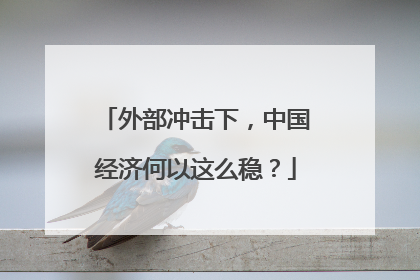 外部冲击下，中国经济何以这么稳？