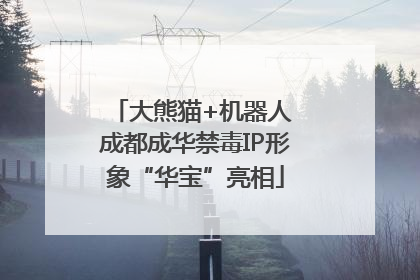 大熊猫+机器人 成都成华禁毒IP形象“华宝”亮相
