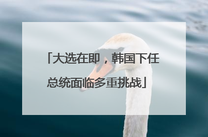 大选在即，韩国下任总统面临多重挑战