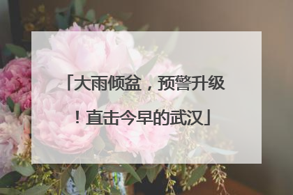 大雨倾盆，预警升级！直击今早的武汉