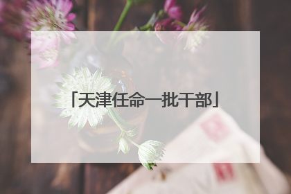 天津任命一批干部