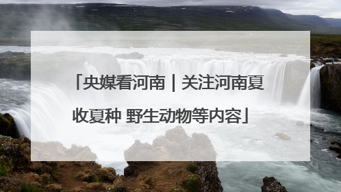 央媒看河南｜关注河南夏收夏种 野生动物等内容