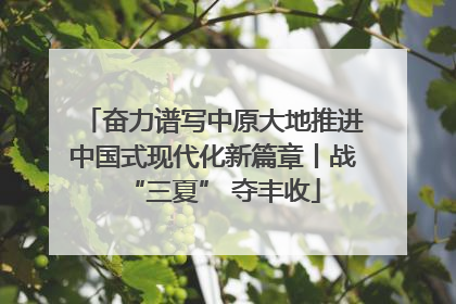 奋力谱写中原大地推进中国式现代化新篇章丨战“三夏” 夺丰收