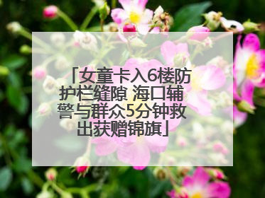 女童卡入6楼防护栏缝隙 海口辅警与群众5分钟救出获赠锦旗