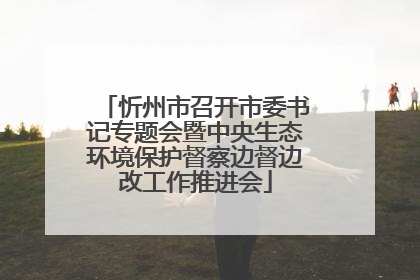 忻州市召开市委书记专题会暨中央生态环境保护督察边督边改工作推进会