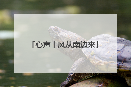 心声丨风从南边来