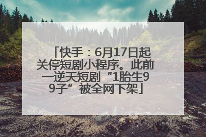 快手：6月17日起关停短剧小程序。此前一逆天短剧“1胎生99子”被全网下架