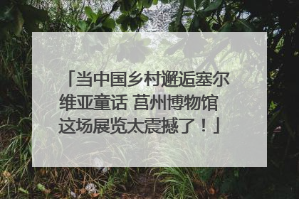 当中国乡村邂逅塞尔维亚童话 莒州博物馆这场展览太震撼了！