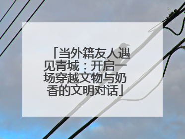当外籍友人遇见青城：开启一场穿越文物与奶香的文明对话