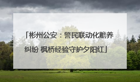 彬州公安：警民联动化赡养纠纷 枫桥经验守护夕阳红
