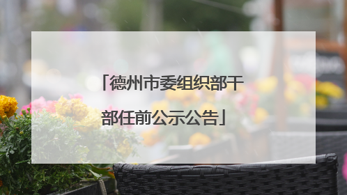 德州市委组织部干部任前公示公告