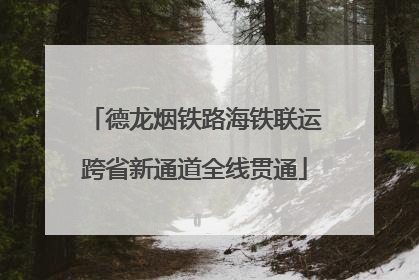 德龙烟铁路海铁联运跨省新通道全线贯通