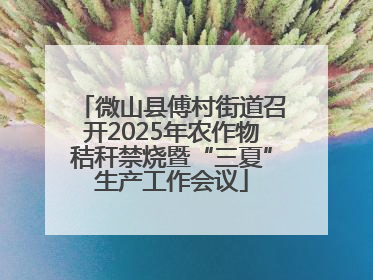 微山县傅村街道召开2025年农作物秸秆禁烧暨“三夏”生产工作会议