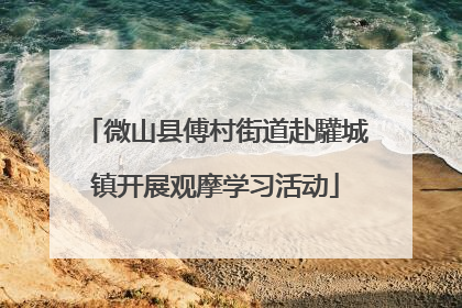 微山县傅村街道赴驩城镇开展观摩学习活动