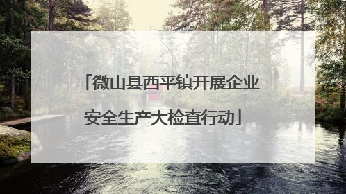 微山县西平镇开展企业安全生产大检查行动