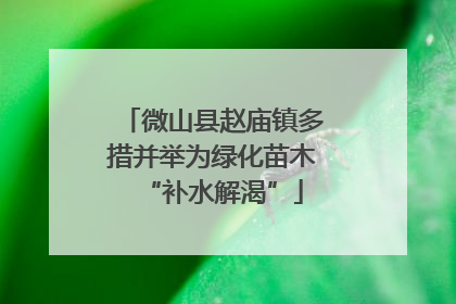 微山县赵庙镇多措并举为绿化苗木“补水解渴”