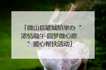 微山县驩城镇举办“浓情端午·圆梦微心愿”爱心帮扶活动