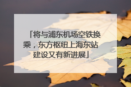 将与浦东机场空铁换乘，东方枢纽上海东站建设又有新进展