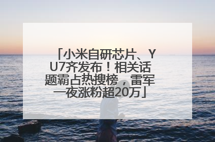 小米自研芯片、YU7齐发布！相关话题霸占热搜榜，雷军一夜涨粉超20万