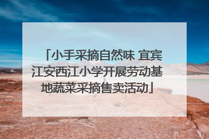 小手采摘自然味 宜宾江安西江小学开展劳动基地蔬菜采摘售卖活动