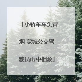 小轿车车头冒烟 蒙城公交驾驶员雨中相救
