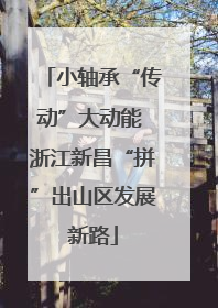 小轴承“传动”大动能 浙江新昌“拼”出山区发展新路