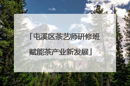 屯溪区茶艺师研修班赋能茶产业新发展