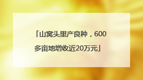 山窝头里产良种，600多亩地增收近20万元