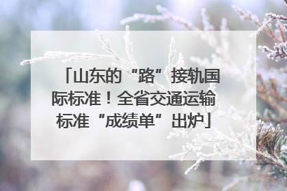 山东的“路”接轨国际标准！全省交通运输标准“成绩单”出炉
