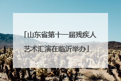 山东省第十一届残疾人艺术汇演在临沂举办