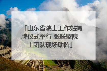 山东省院士工作站揭牌仪式举行 张联盟院士团队现场助阵