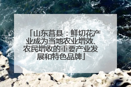 山东莒县：鲜切花产业成为当地农业增效、农民增收的重要产业发展和特色品牌