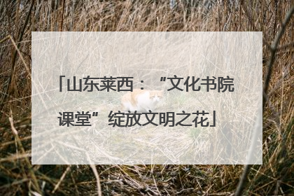 山东莱西：“文化书院课堂”绽放文明之花