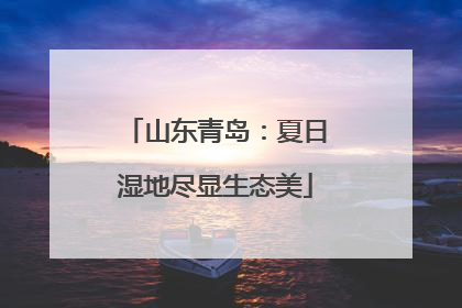 山东青岛：夏日湿地尽显生态美
