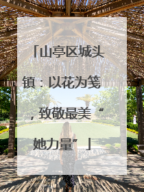 山亭区城头镇：以花为笺，致敬最美“她力量”