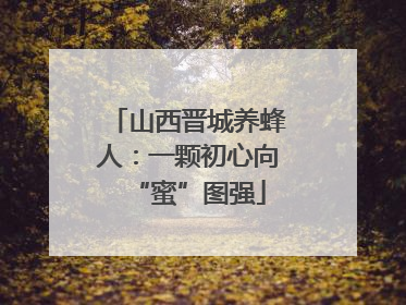 山西晋城养蜂人：一颗初心向“蜜”图强