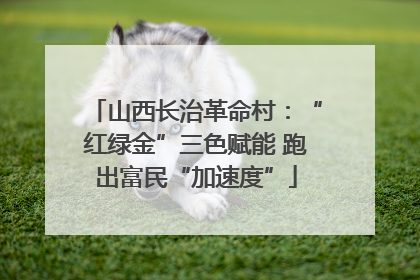 山西长治革命村：“红绿金”三色赋能 跑出富民“加速度”