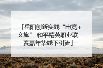 岳阳创新实践“电竞+文旅” 和平精英职业联赛嘉年华线下引流