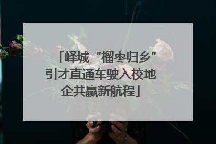 峄城“榴枣归乡”引才直通车驶入校地企共赢新航程