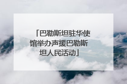 巴勒斯坦驻华使馆举办声援巴勒斯坦人民活动