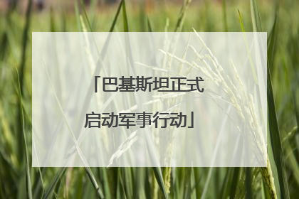 巴基斯坦正式启动军事行动